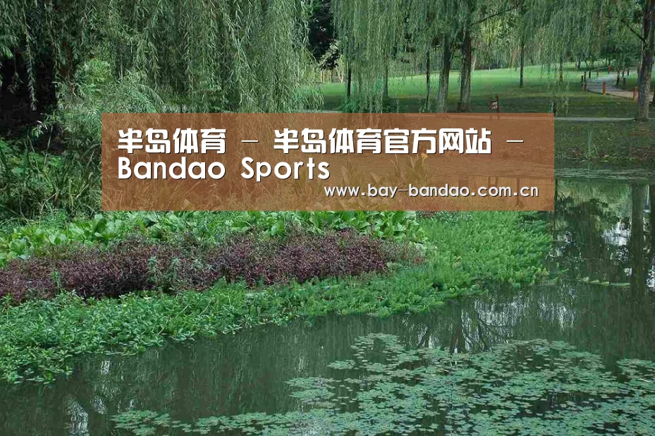 案例展示一(图1)