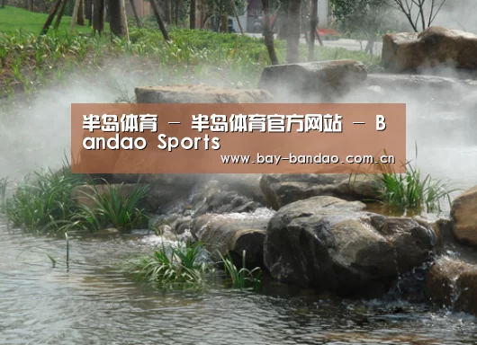 案例展示五(图1)
