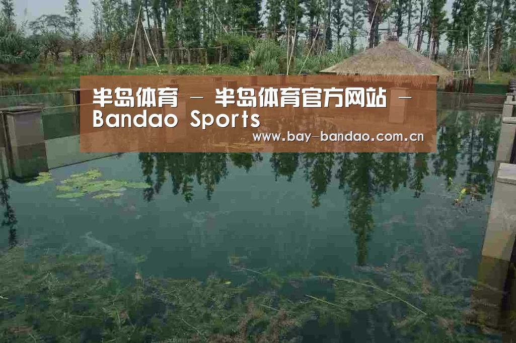 案例展示二