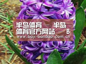 产品名称八