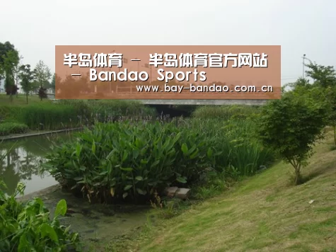 案例展示四