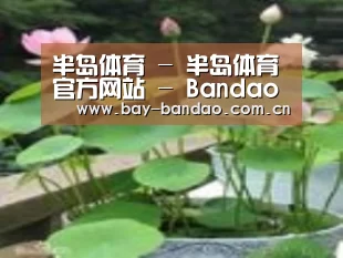 产品名称一