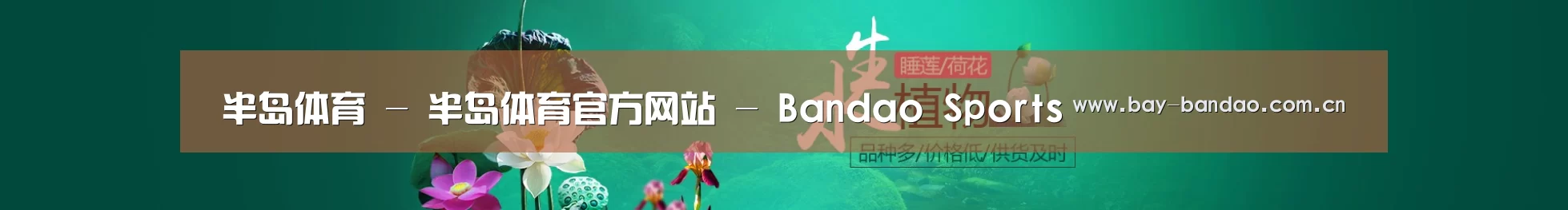鲜花水草花卉网站模板