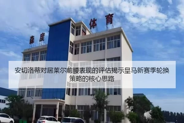 安切洛蒂对居莱尔前腰表现的评估揭示皇马新赛季轮换策略的核心思路