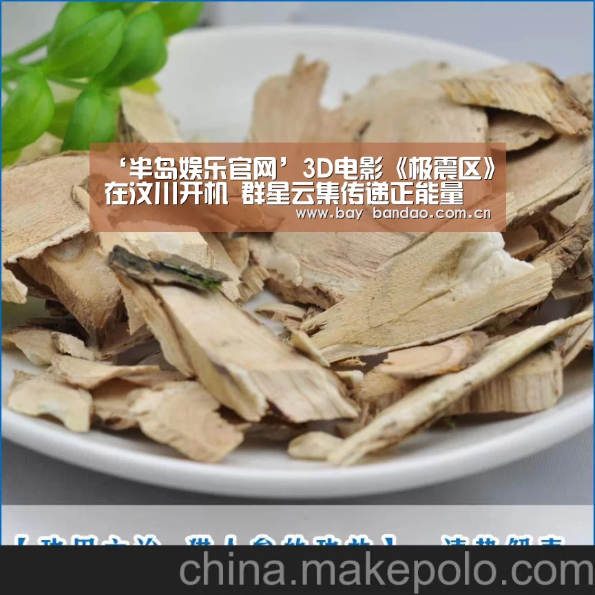 ‘半岛娱乐官网’3D电影《极震区》在汶川开机 群星云集传递正能量